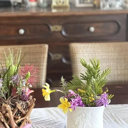 Casa Fumica * Palit